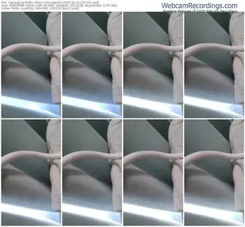 sakuralive-ohlady010-01-01-2025-02-12-15