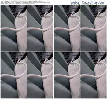 sakuralive-ohlady010-01-01-2025-22-18-54