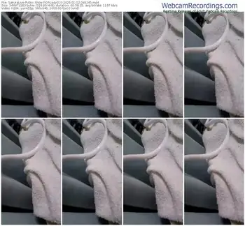 sakuralive-ohlady010-01-02-2025-09-32-45