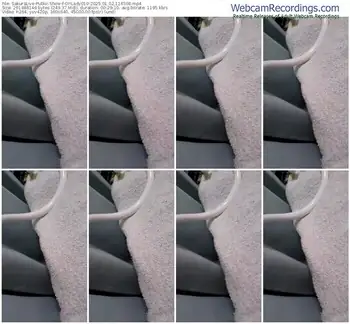 sakuralive-ohlady010-01-02-2025-11-45-08