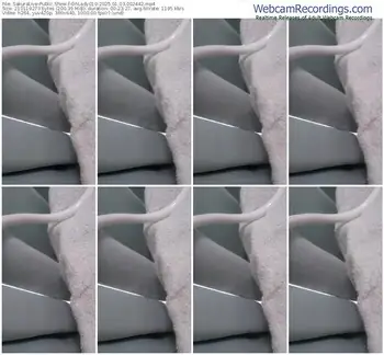 sakuralive-ohlady010-01-03-2025-00-24-42