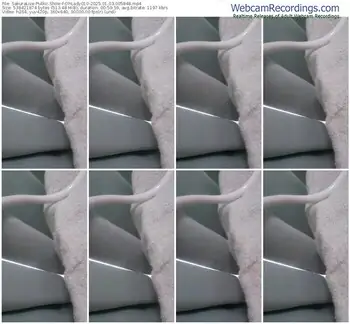 sakuralive-ohlady010-01-03-2025-00-58-48