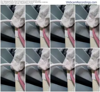 sakuralive-ohlady010-01-03-2025-20-39-41