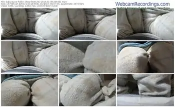 sakuralive-nachiv-01-09-2025-16-43-31