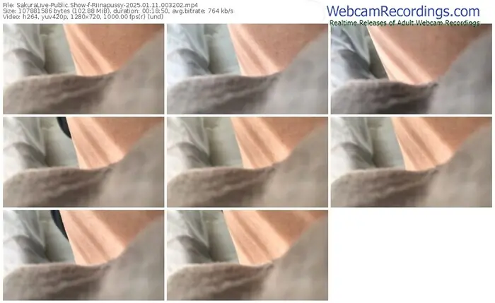 sakuralive-riinapussy-01-11-2025-00-32-02