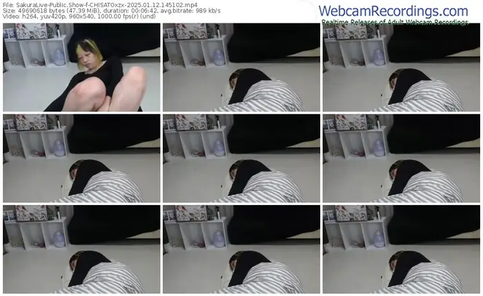 sakuralive-chisatoxzx-01-12-2025-14-51-02
