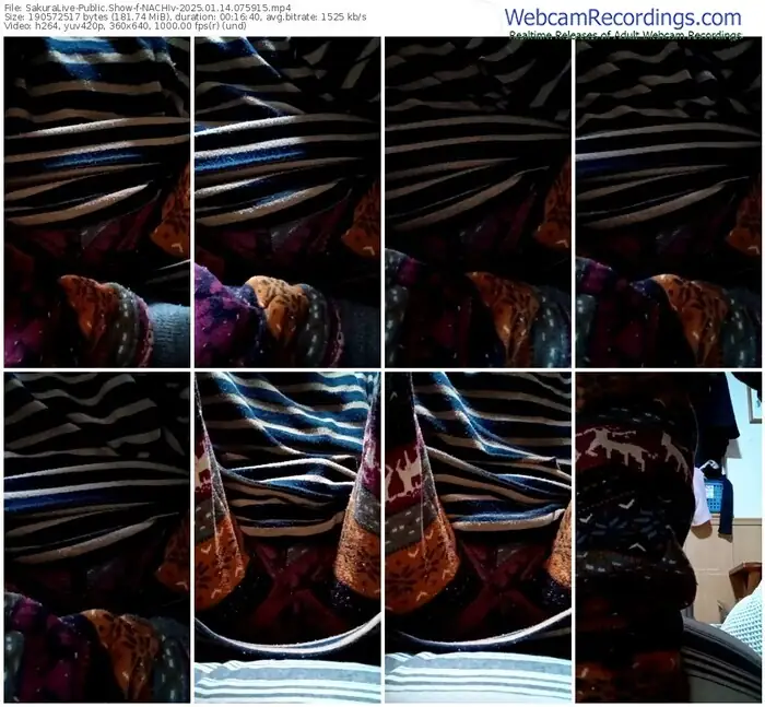 sakuralive-nachiv-01-14-2025-07-59-15
