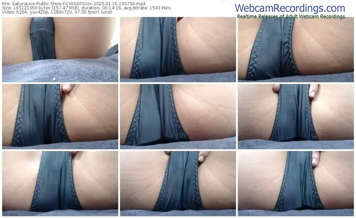 sakuralive-chisatoxzx-01-15-2025-19-37-54