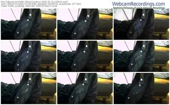 sakuralive-mamys-01-16-2025-14-39-15