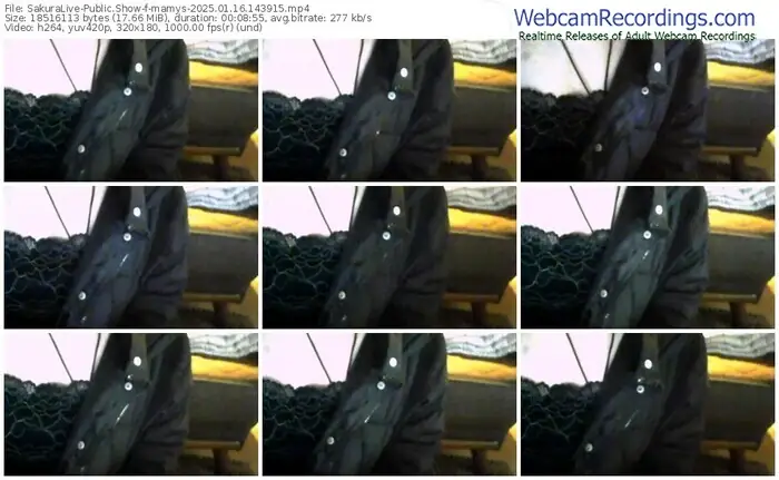 sakuralive-mamys-01-16-2025-14-39-15