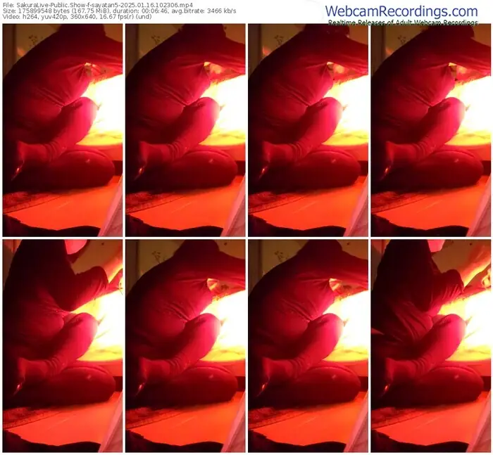 sakuralive-sayatan5-01-16-2025-10-23-06