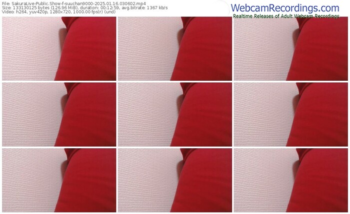 sakuralive-suuchan9000-01-16-2025-03-06-02