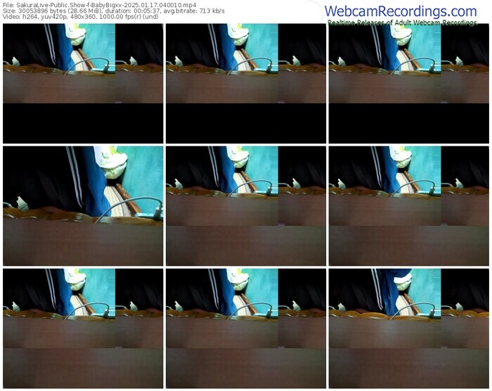 sakuralive-babybigxx-01-17-2025-04-00-10