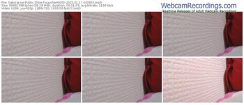 sakuralive-suuchan9000-01-17-2025-03-06-55