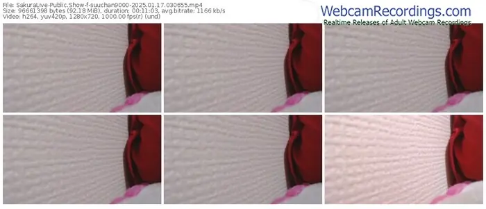 sakuralive-suuchan9000-01-17-2025-03-06-55