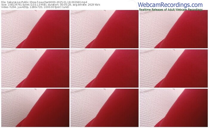 sakuralive-suuchan9000-01-18-2025-00-29-40
