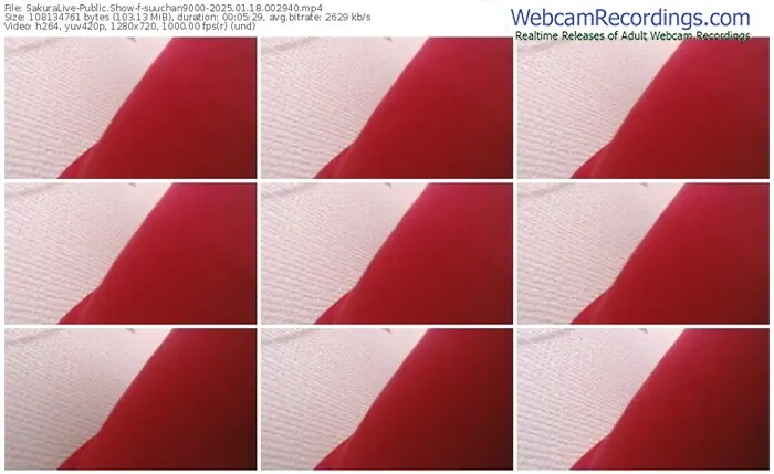 sakuralive-suuchan9000-01-18-2025-00-29-40