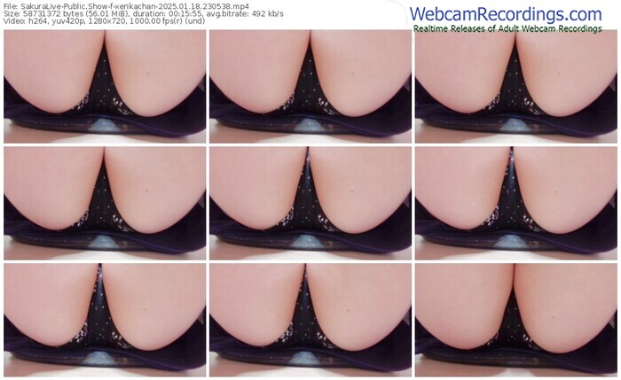 sakuralive-xerikachan-01-18-2025-23-05-38