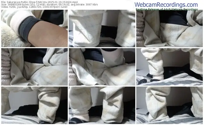 sakuralive-nachiv-01-19-2025-15-34-24