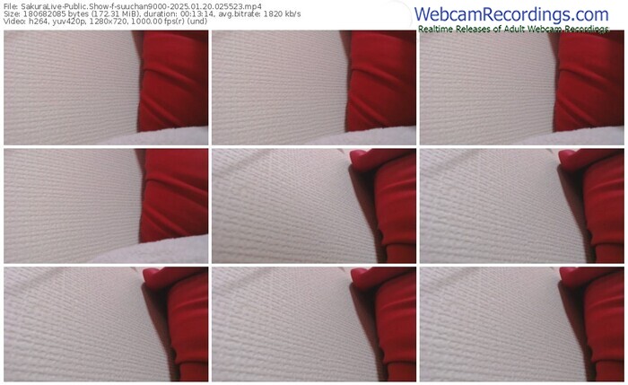 sakuralive-suuchan9000-01-20-2025-02-55-23