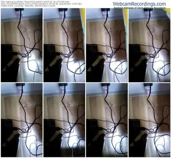 sakuralive-ohlady010-01-21-2025-15-53-39