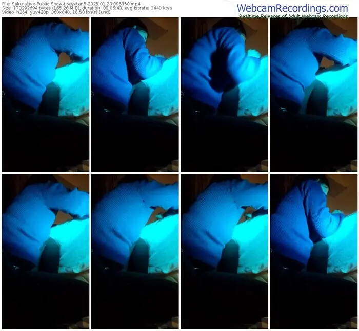 sakuralive-sayatan5-01-23-2025-09-58-50