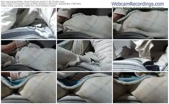 sakuralive-nachiv-01-25-2025-15-04-31