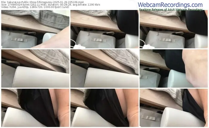 sakuralive-riinapussy-01-29-2025-22-51-09