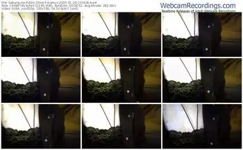 sakuralive-mamys-01-29-2025-10-36-28