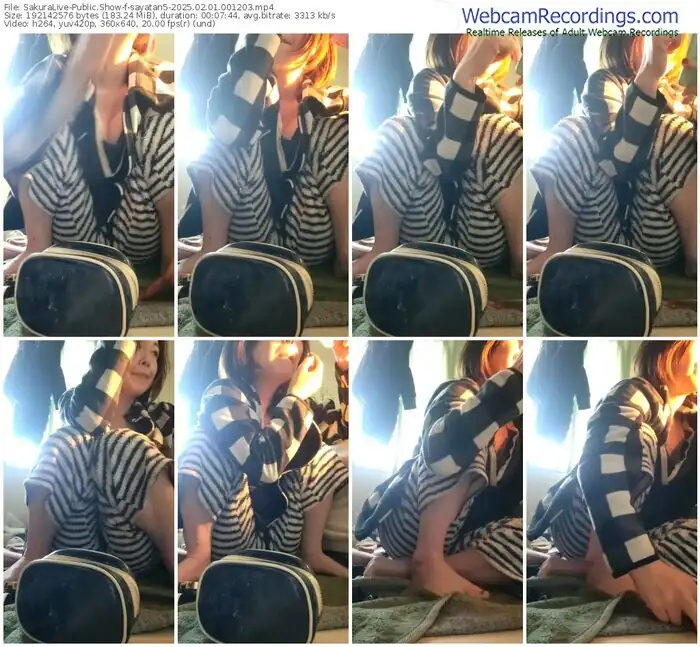 sakuralive-sayatan5-02-01-2025-00-12-03