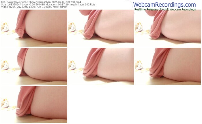 sakuralive-xerikachan-02-01-2025-08-17-38