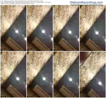 sakuralive-ohlady010-02-04-2025-16-50-21