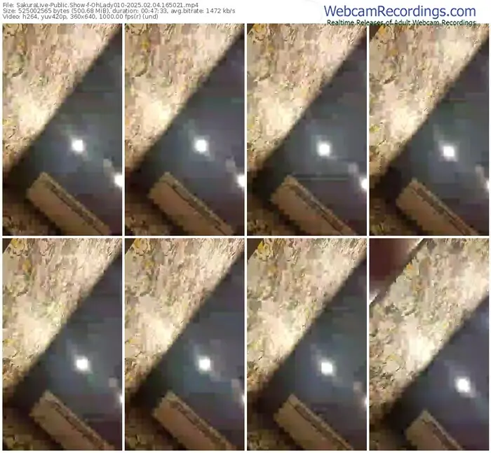 sakuralive-ohlady010-02-04-2025-16-50-21