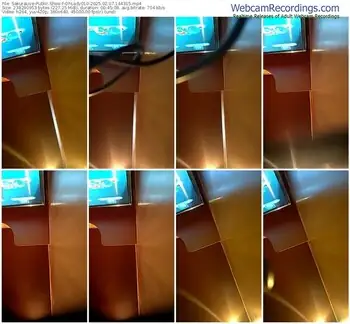 sakuralive-ohlady010-02-07-2025-14-43-15