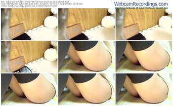 sakuralive-hiyokosss-02-08-2025-10-52-58