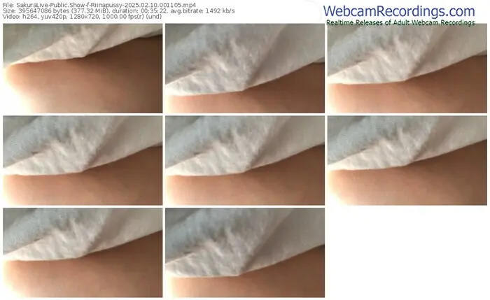 sakuralive-riinapussy-02-10-2025-00-11-05