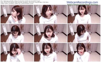 sakuralive-cocomin-02-13-2025-12-30-47