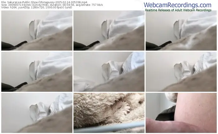 sakuralive-riinapussy-02-14-2025-00-53-38