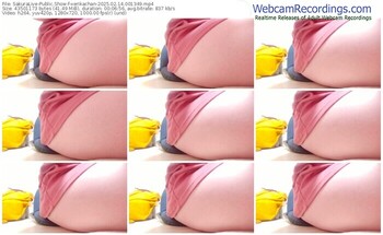 sakuralive-xerikachan-02-14-2025-00-13-49