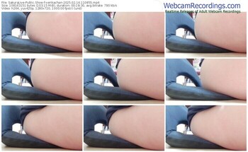 sakuralive-xerikachan-02-14-2025-11-08-55