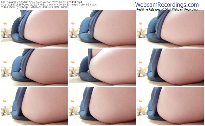 sakuralive-xerikachan-02-15-2025-22-04-34