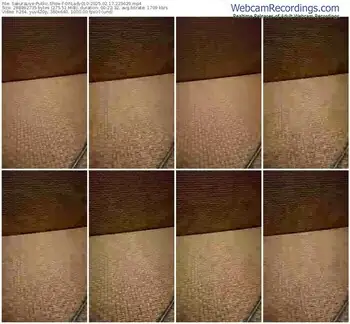 sakuralive-ohlady010-02-17-2025-22-36-29