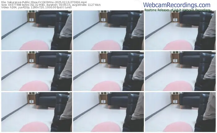 sakuralive-cokominx-02-19-2025-07-00-06