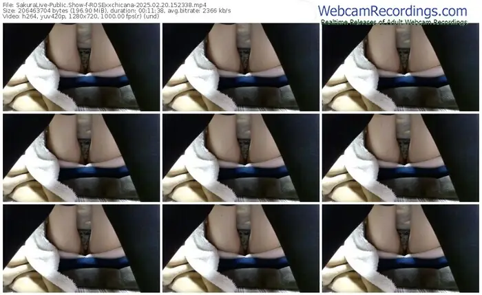 sakuralive-rosexxchicana-02-20-2025-15-23-38