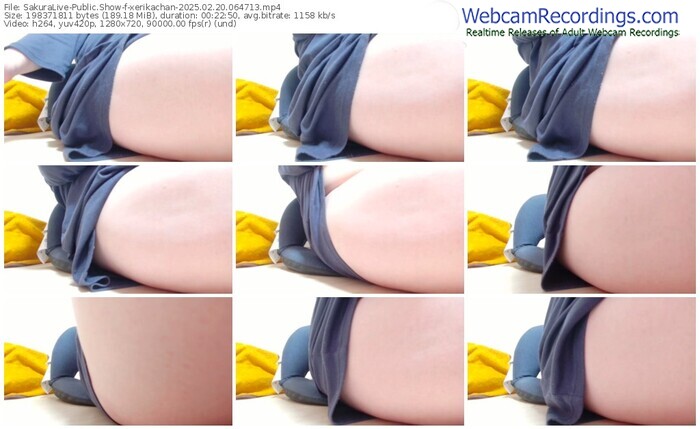 sakuralive-xerikachan-02-20-2025-06-47-13