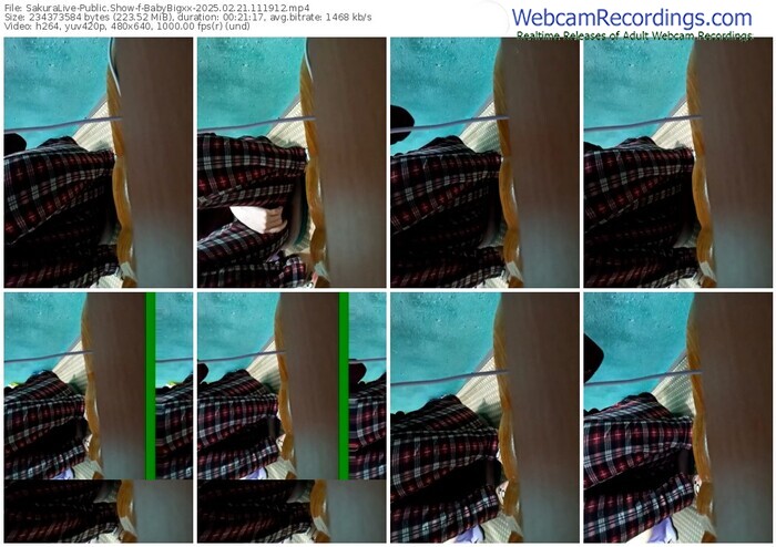 sakuralive-babybigxx-02-21-2025-11-19-12