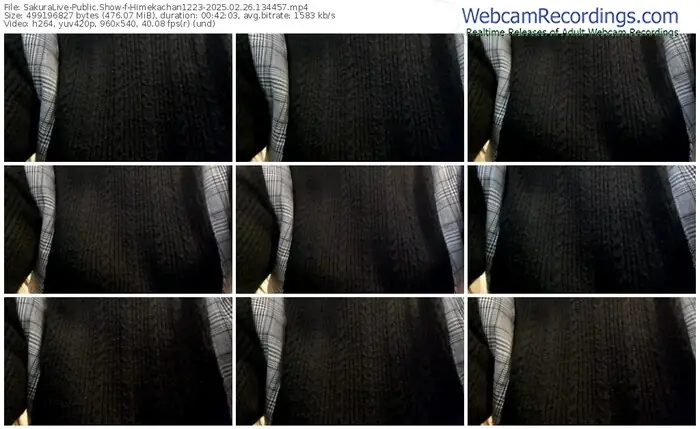 sakuralive-himekachan1223-02-26-2025-13-44-57