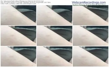 sakuralive-riinapussy-02-26-2025-02-16-43