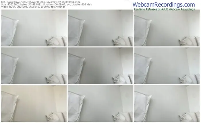 sakuralive-riinapussy-02-26-2025-03-30-54