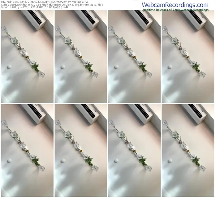 sakuralive-hanakosan3-02-27-2025-03-41-09